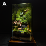 Terrarium Lazy Meadow - Bể Đa Giác Terrarium Capybara