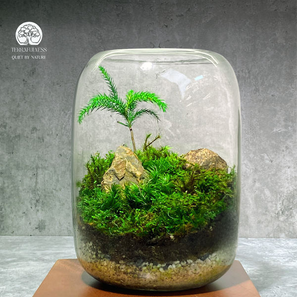 Terrarium “Chạm Thiên Nhiên
