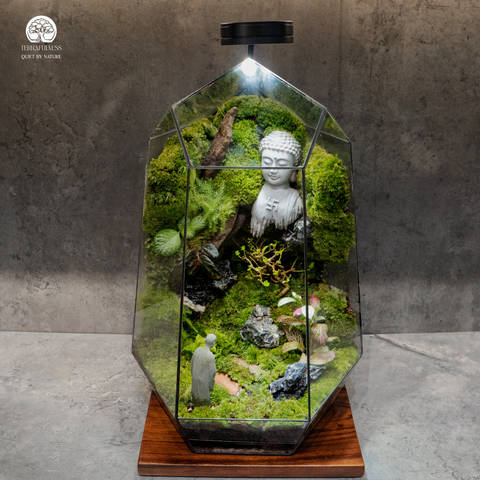 Zen Terrarium Thiền Sơn Quang - Bể Đa Giác Trang Trí Thiền An Nhiên