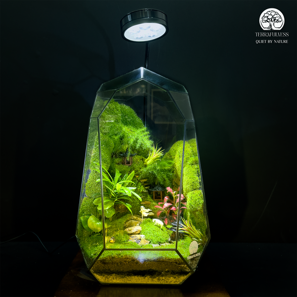 Khi Cảm Xúc Là Cánh Cửa Dẫn Về Ký Ức – Top 3 Chủ Đề Terrarium Được Đặt Hàng Nhiều Nhất Tại…