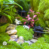 Terrarium Bích Sơn Khách - Bể Đa Giác - Tô Điểm Không Gian Sống