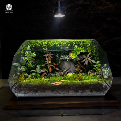 Terrarium Mystic Valley - Thung Lũng Lung Linh Giữa Rừng Xanh