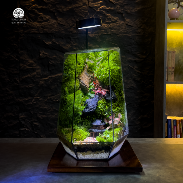 terrarium-nghe-thuat-thu-cong-cao-cap-terrafulness, qua-tang-vip-sang-trong-doc-ban, decor-van-phong-lanh-dao-cao-cap, terrafulness-giai-phap-xanh-van-phong