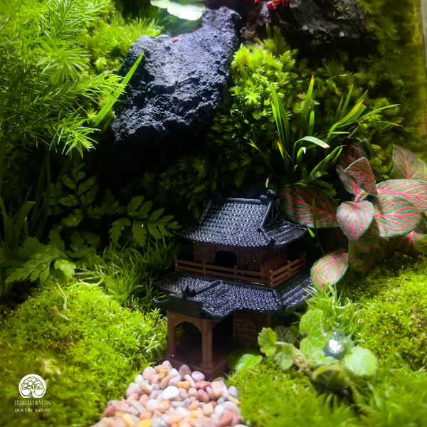 qua-tet-xanh-doanh-nghiep-terrafulness