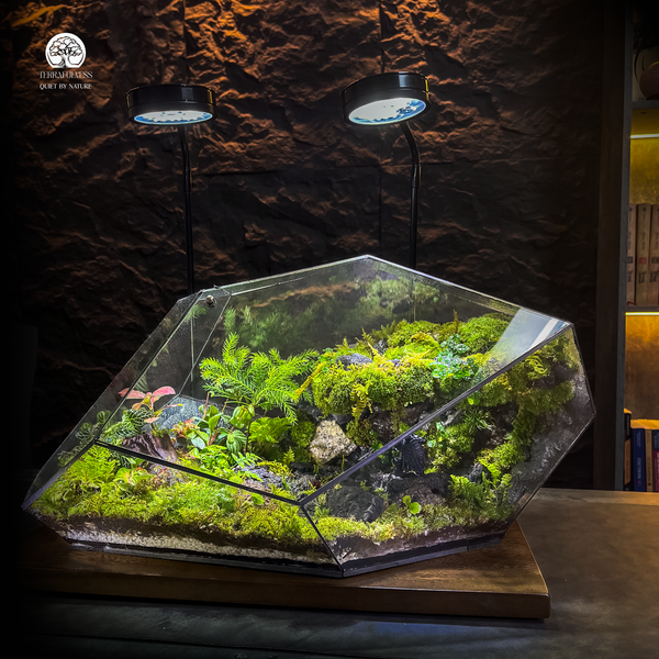 Terrarium
