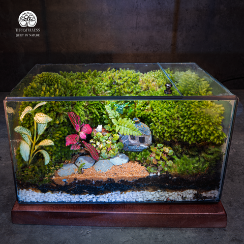 Terrarium Little House | Bể Hộp Chữ Nhật - Decor Bàn Làm Việc Tinh Tế