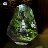 Terrarium Sơn Môn - Bể Đa Giác - Nghệ Thuật Giữa Rừng Xanh