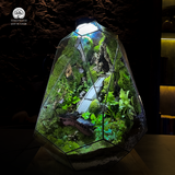 Terrarium Sơn Môn - Bể Đa Giác - Nghệ Thuật Giữa Rừng Xanh