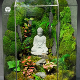 Terrarium Zen Phật Ban Phước | Bể Đa Giác Trang Trí Không Gian Thiền Định