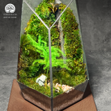 Terrarium Nhà Nhỏ Trong Rừng – Bể Đa Giác Đứng - Để Bàn