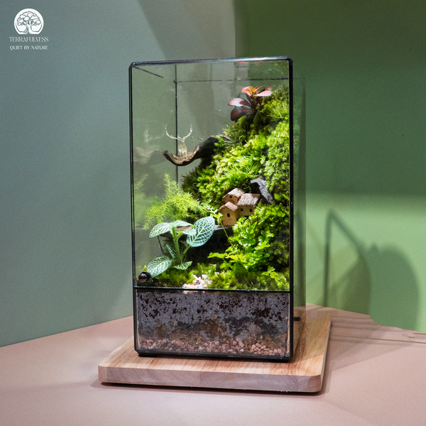 Terrarium