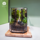 Terrarium Tranquil Deer Gate - Bể Đa Giác - Trang Trí Kệ Sách