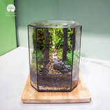 Terrarium Tranquil Deer Gate - Bể Đa Giác - Trang Trí Kệ Sách