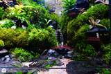 Terrarium