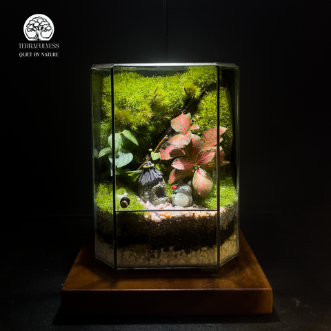 #2. "Healing Totoro" – Thế giới thần tiên diệu kỳ – Top 10 Mẫu Terrarium Mini Decor Bàn Làm Việc…