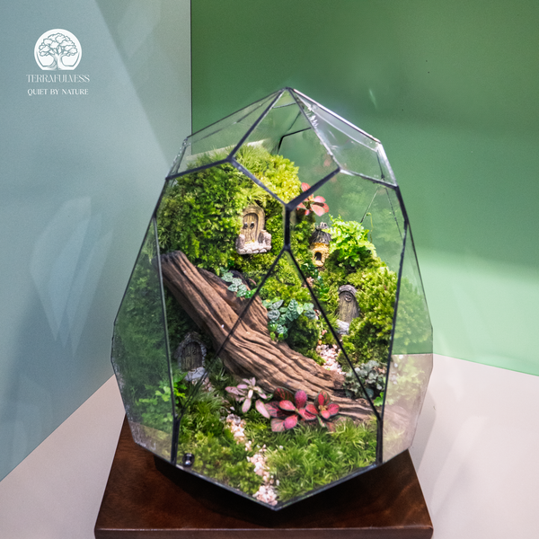 Terrarium