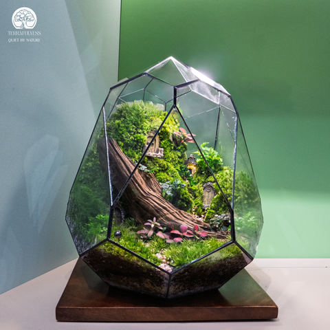 Terrarium The Forgotten Forest Gate - Bể Trứng Đa Giác - Quà Tặng Cao Cấp