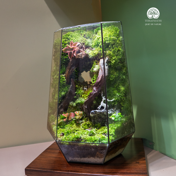 #5. "Cổng Thời Gian" – Kết nối quá khứ và hiện tại – Top 10 Mẫu Terrarium Mini Decor Bàn Làm…