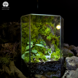 Terrarium Thanh Lâm -  Bể Đa Giác - Khu Vườn Rêu Xanh