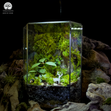 Terrarium Thanh Lâm -  Bể Đa Giác - Khu Vườn Rêu Xanh