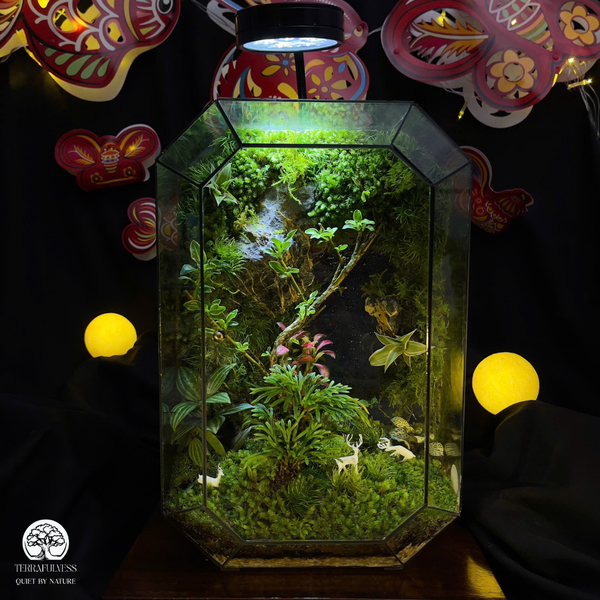 Hiểu Về Vi Sinh Và Độ Ẩm – Làm Sao Để Terrarium Luôn Xanh Và Không Bị Mốc? Bí Quyết Chăm Sóc…