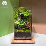 Terrarium The Door - Bình Hộp Chữ Nhật Đứng - Quà Tặng Độc Đáo