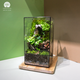 Terrarium The Door - Bình Hộp Chữ Nhật Đứng - Quà Tặng Độc Đáo