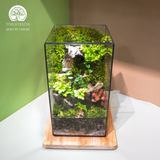 Terrarium The Door - Bình Hộp Chữ Nhật Đứng - Quà Tặng Độc Đáo