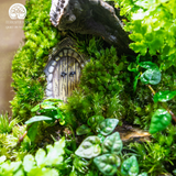 Terrarium The Door - Bình Hộp Chữ Nhật Đứng - Quà Tặng Độc Đáo