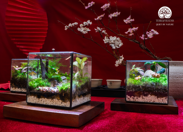 Thay lời chúc một năm “xanh” bền vững – Tặng Terrarium Dịp Tết – Gửi Trọn Một Năm Bình Yên