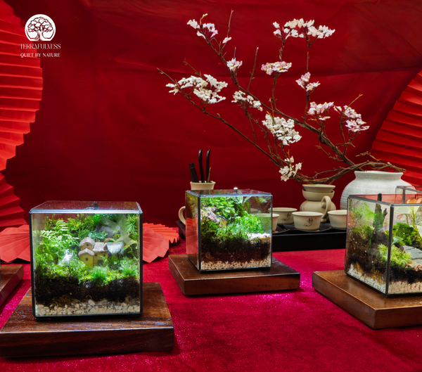 Một mảng xanh nhỏ cho tâm trí bình yên – Quà Tết Không Ồn Ào – Terrarium Và Sự Tĩnh Lặng Đáng Giá