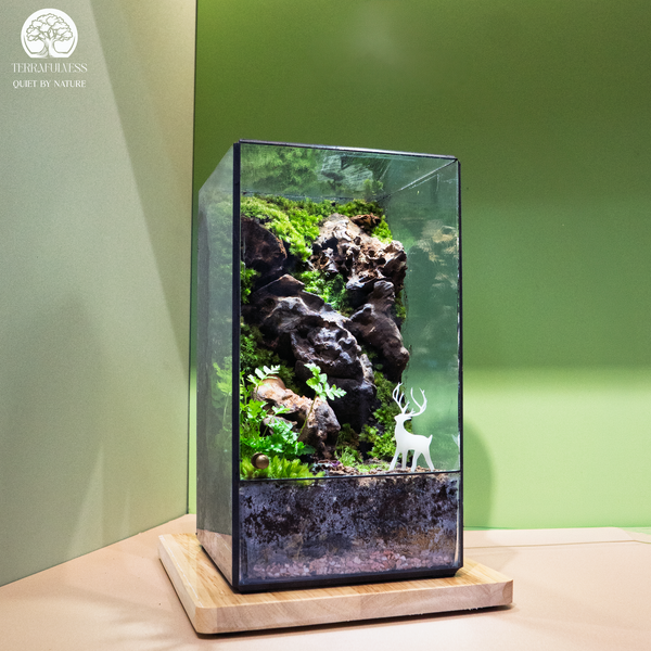 Terrarium Đá
