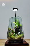 Terrarium Thượng Sơn Cảnh - Góc Xanh Để Bàn Làm Việc