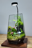 Terrarium Thượng Sơn Cảnh - Góc Xanh Để Bàn Làm Việc
