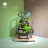 Terrarium Hành Trình - Bể Đa Giác - Quà Tặng Độc Đáo