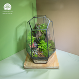 Terrarium Hành Trình - Bể Đa Giác - Quà Tặng Độc Đáo