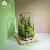 Terrarium Hành Trình - Bể Đa Giác - Quà Tặng Độc Đáo