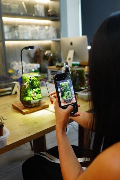 Gợi Ý Dành Cho Bạn: Workshop Terrarium Của Terrafulness