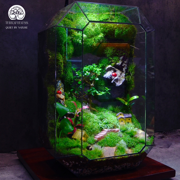 Terrarium: Món Quà “Cảm Ơn” Tinh Tế Cho Người Quan Trọng (TERRAFULNESS)