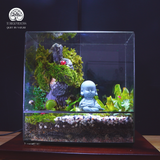 Terrarium Sơn Khúc - Bể Trụ - Để Bàn Làm Việc