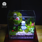 Terrarium Sơn Khúc - Bể Trụ - Để Bàn Làm Việc