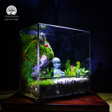 Terrarium Sơn Khúc - Bể Trụ - Để Bàn Làm Việc