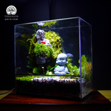Terrarium Sơn Khúc - Bể Trụ - Để Bàn Làm Việc