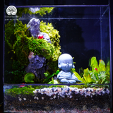 Terrarium Sơn Khúc - Bể Trụ - Để Bàn Làm Việc