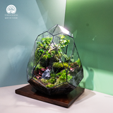 Terrarium The Emerald Relic - Bể Trứng Đa Giác - Quà Tặng Cao Cấp