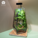 Terrarium Dear Deer - Bể Đa Giác Vác - Decor Kệ Tủ