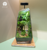 Terrarium Dear Deer - Bể Đa Giác Vác - Decor Kệ Tủ