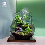 Terrarium The Emerald Relic - Bể Trứng Đa Giác - Quà Tặng Cao Cấp