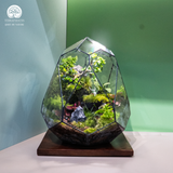 Terrarium The Emerald Relic - Bể Trứng Đa Giác - Quà Tặng Cao Cấp