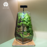 Terrarium Dear Deer - Bể Đa Giác Vác - Decor Kệ Tủ